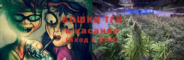 стаф Сясьстрой