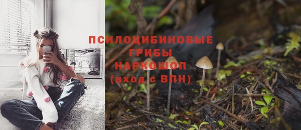 2c-b Алексин